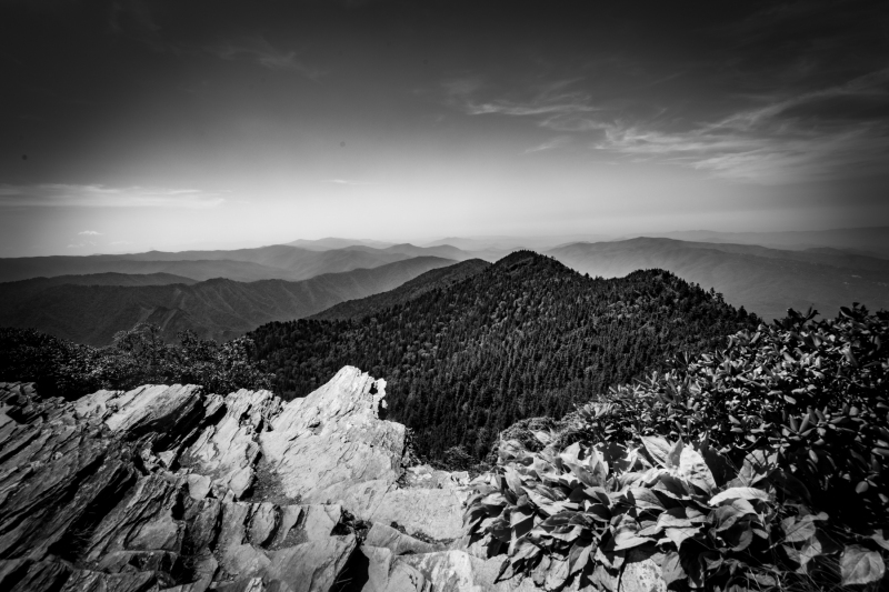 Great_Smoky_Mountains_Landscape_2