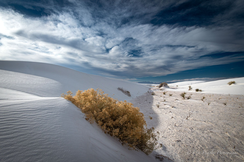 White-Sands
