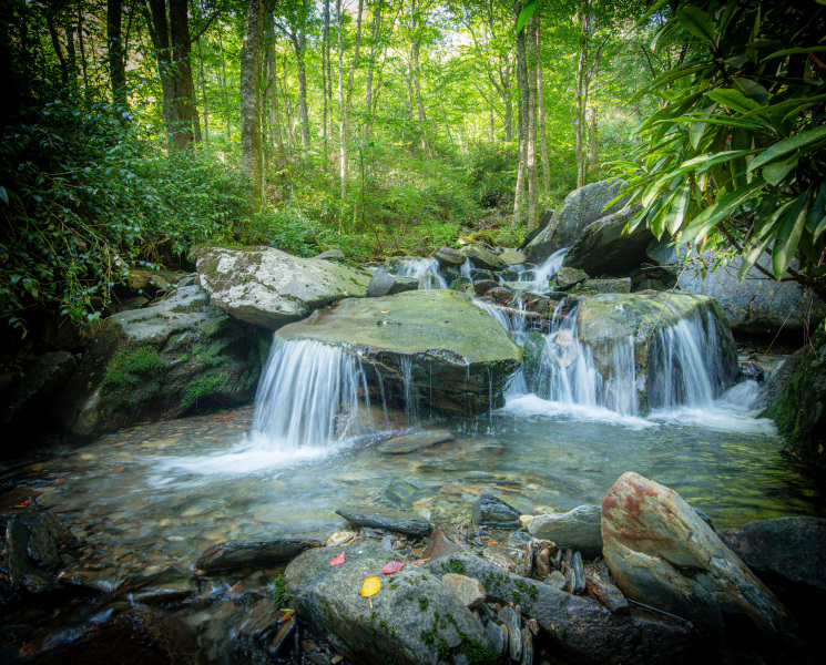 Great_Smoky_Mountains_Landscape_3